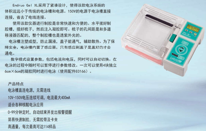 Endruo Gel XL迷你电泳系统