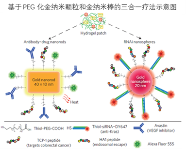 PEG化金纳米笼（氨基末端，d=50nm）