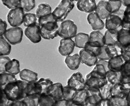 水溶性金纳米笼（d=80nm）