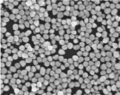 水溶性银纳米颗粒（d=100nm）
