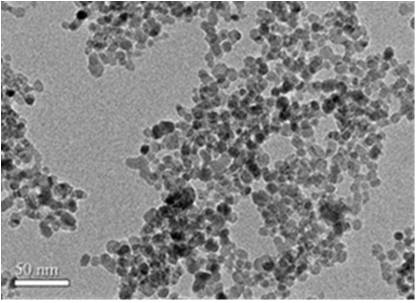 伽马-三氧化二铁磁性纳米颗粒（γ-Fe2O3）