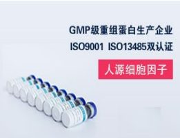 重组人IL-7蛋白（ Recombinant Human IL-7 Protein），GMP级