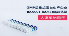 重组人IL-15蛋白（Recombinant Human IL-15 Protein）