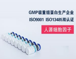 抗人CD28单克隆抗体（Anti-human CD28 mAb）